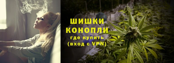 дмт Лагань