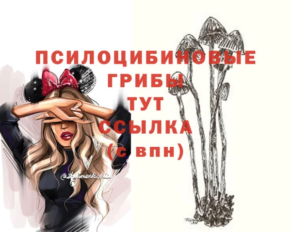 гашик Кукмор