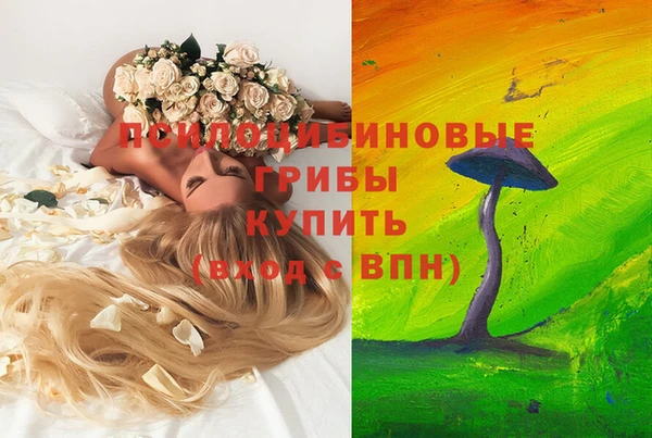 МДПВ Ладушкин