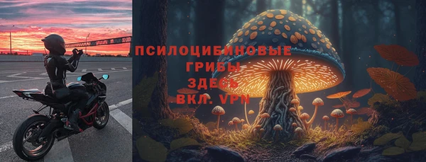 гашик Кукмор
