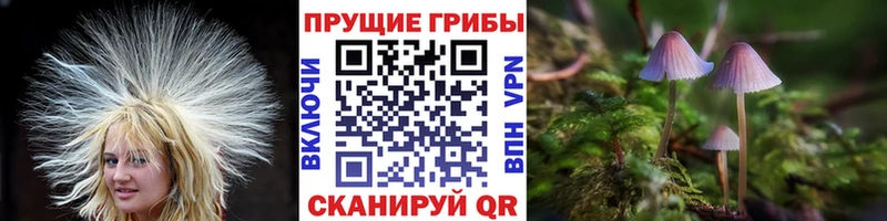 Купить закладки  Верхняя Тура  Псилоцибиновые грибы мухоморы 