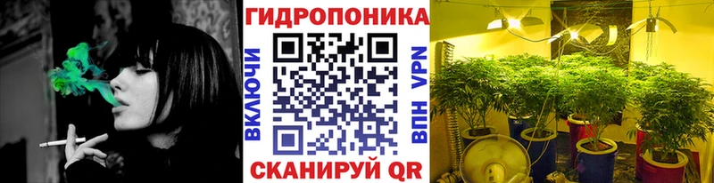 Шишки марихуана White Widow  Купить закладки  Верхняя Тура 
